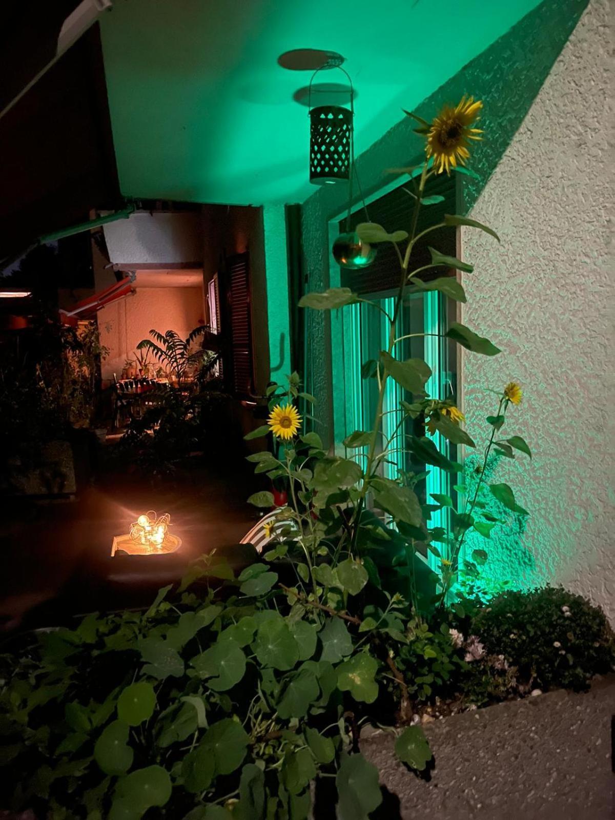 Ferienwohnung Bellezza In Lorraine Bern Exterior foto